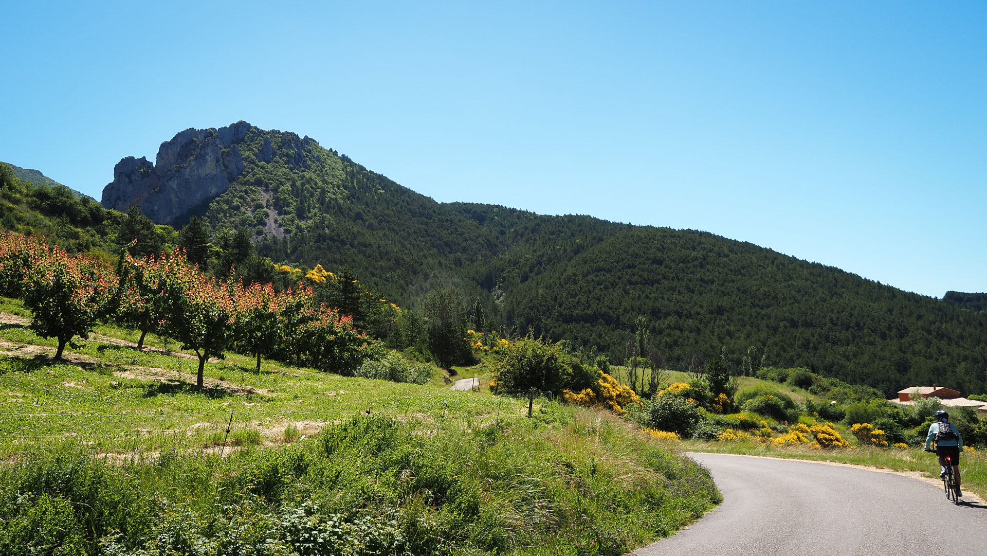 la rebenne route des grandes alpes