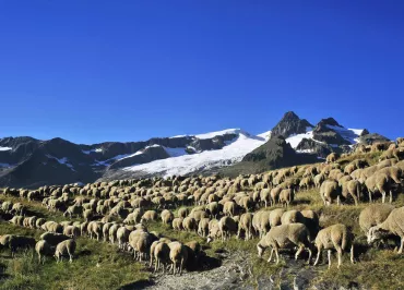 Vallée des Chapieux