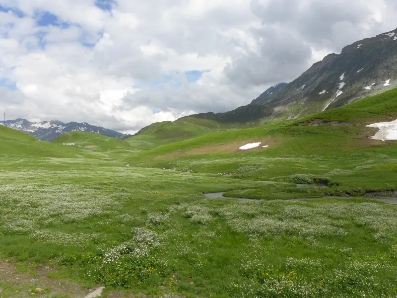 Alpeggi di Beaufortain