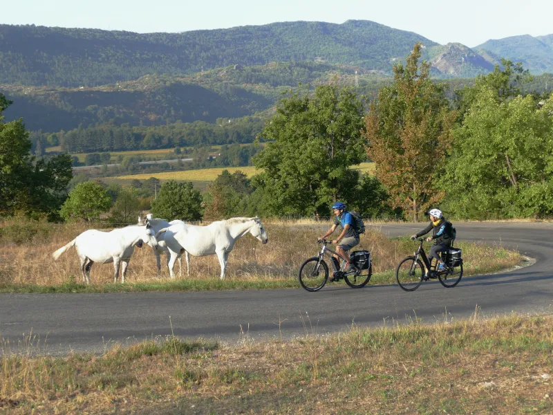 Ai piedi del Col de Fontbelle, all'uscita da Sisteron