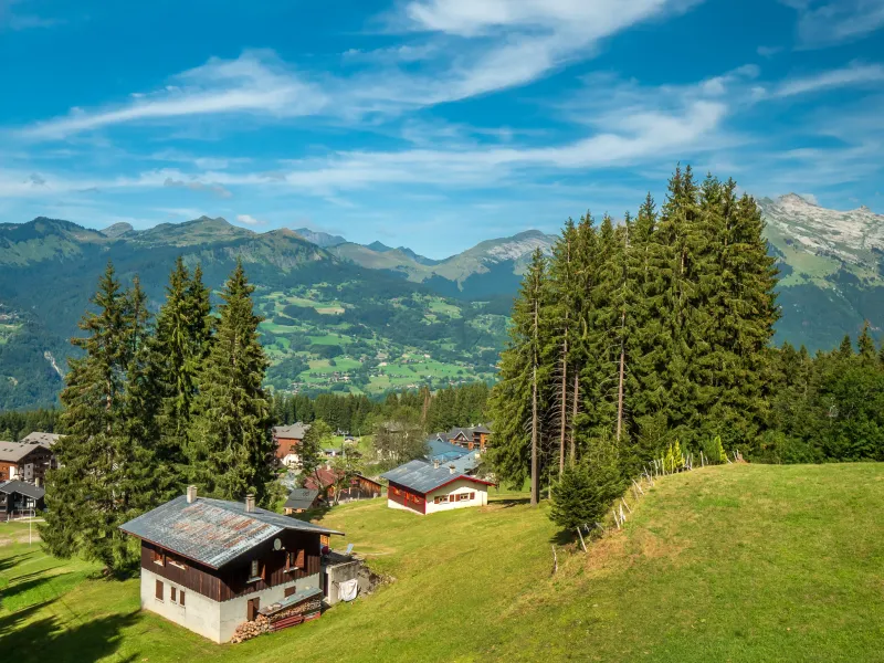 Chalet a Morillon Les Esserts