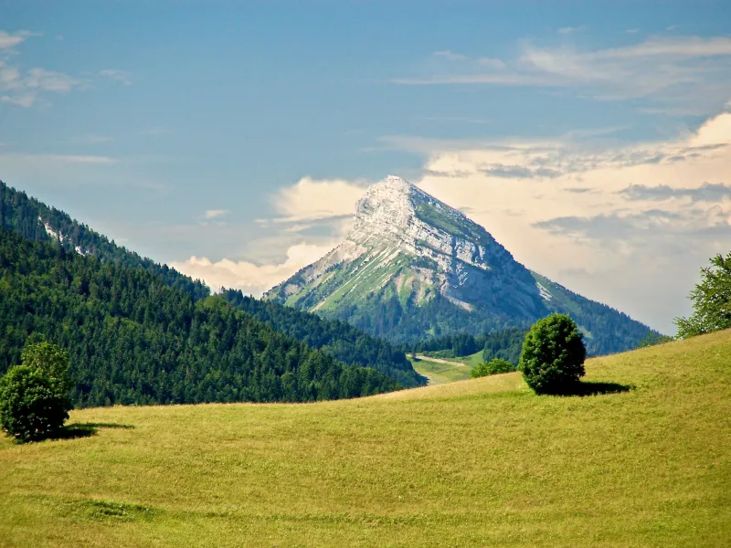 Chamchaude, l'emblema meridionale della regione della Chartreuse