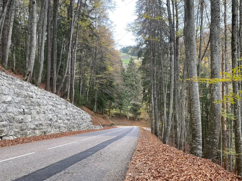 Discesa dal Col du Feu a Lullin