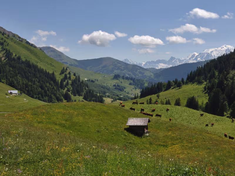Discesa verso la Val d'Arly dal Col des Aravis