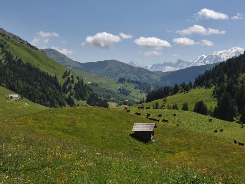 Discesa verso la Val d'Arly dal Col des Aravis