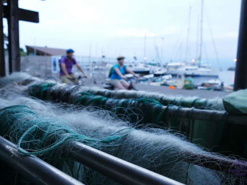 Livellamento nel porto di Thonon-les-Bains
