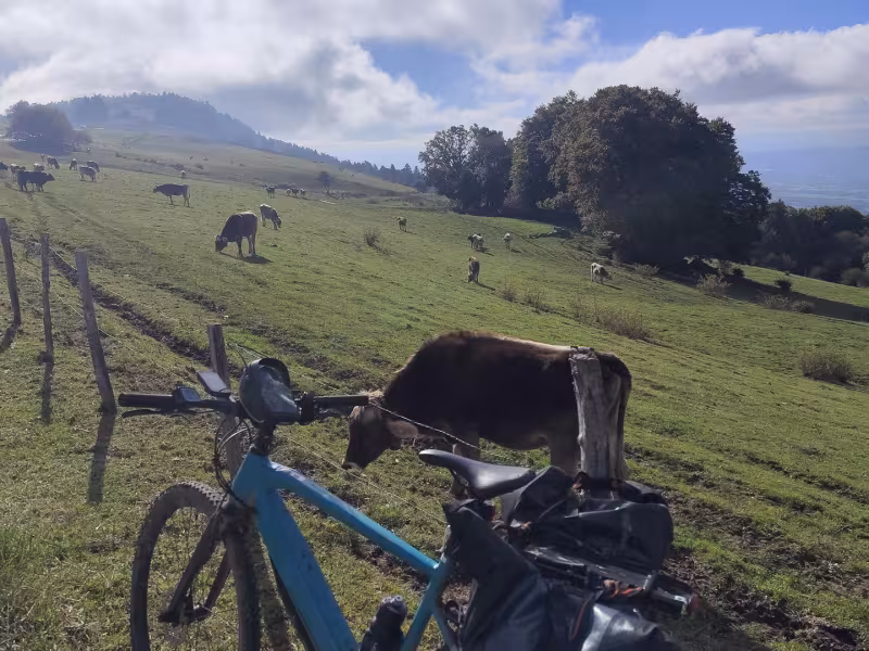Risalendo la Salève in bicicletta