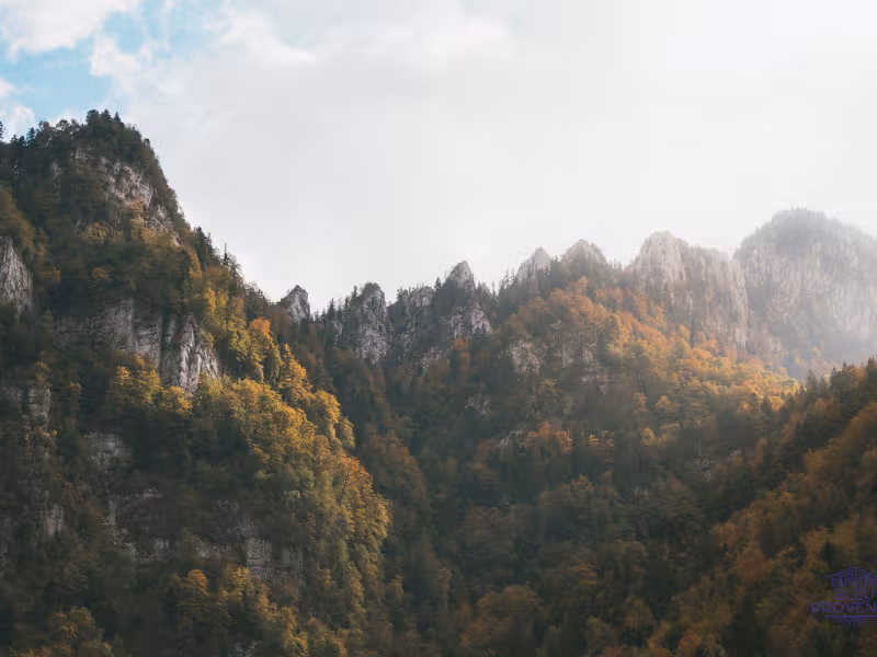 Autunno nella Certosa