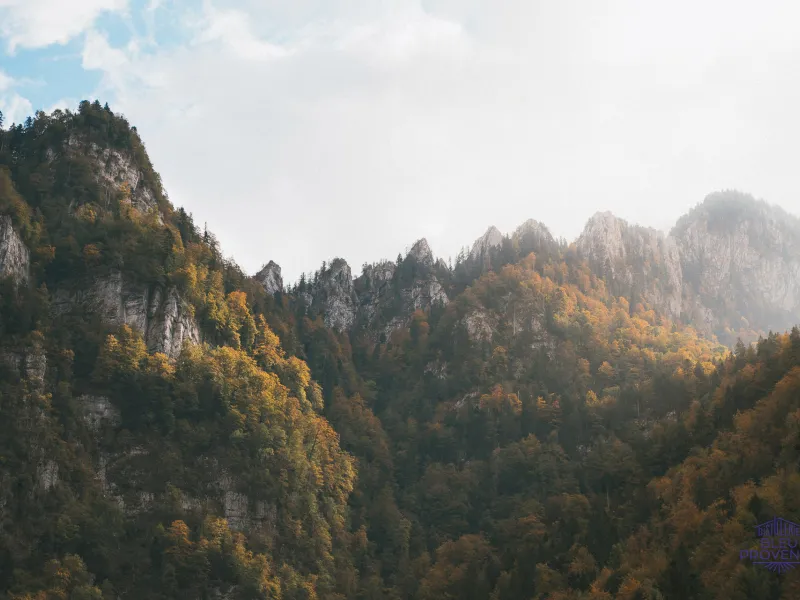 Autunno nella Certosa