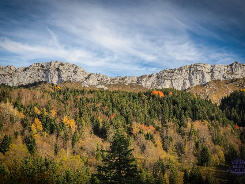 Atmosfera autunnale intorno a Villard-de-Lans