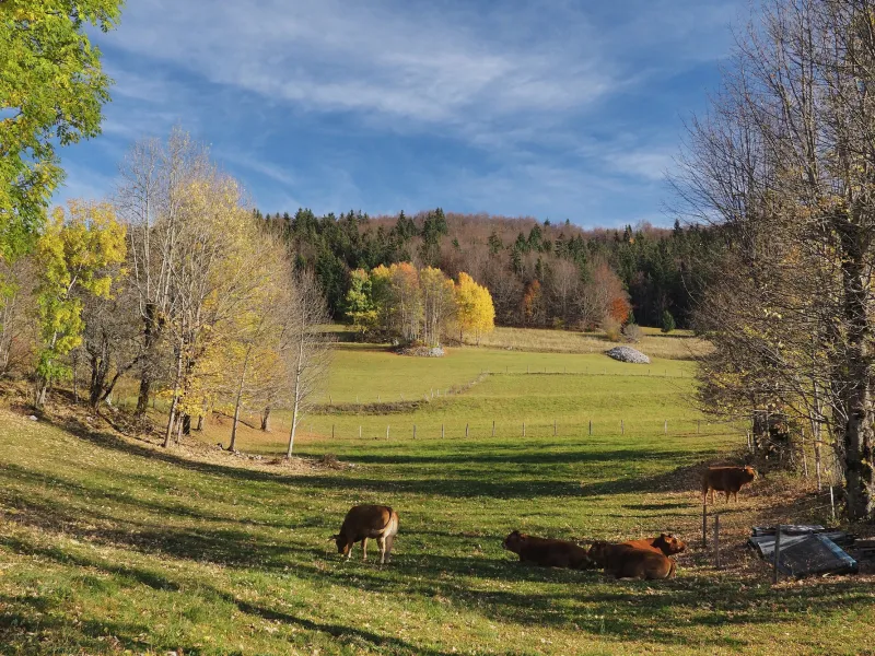 Paesaggio del Vercors 4 Montagne intorno a Villard-de-Lans