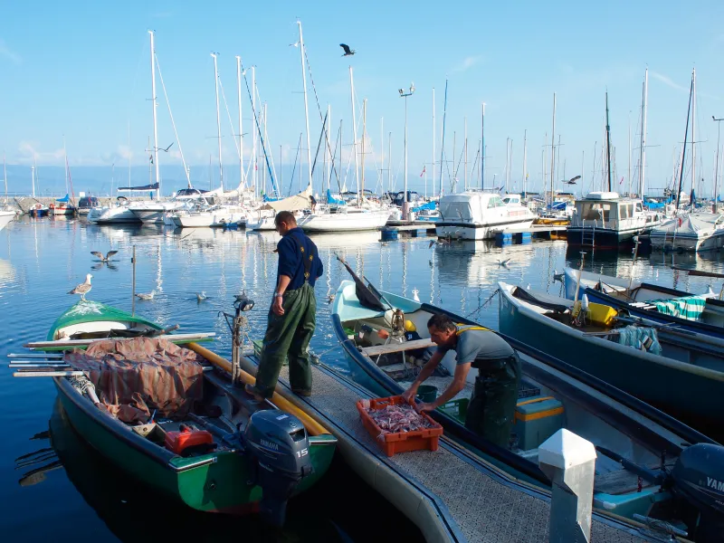 Pesca sul lago di Ginevra