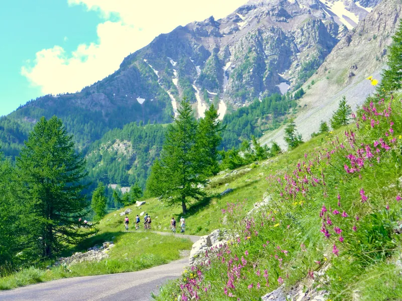 Prati alpini e larici accompagnano i ciclisti