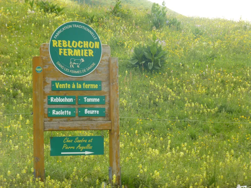 Reblochon emblematico dell'Alta Savoia
