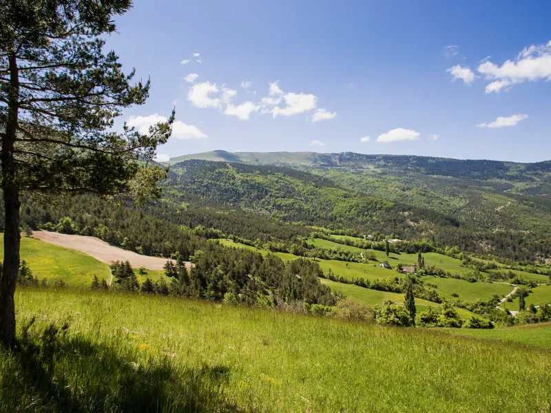 Sulle alture di Valdrôme