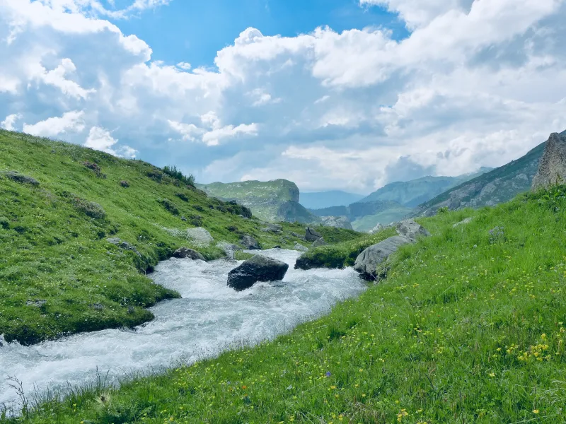 Torrente e alpeggi di Cormet de Roselend