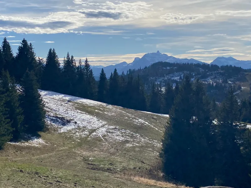 Vista dal Col de Ranfoly
