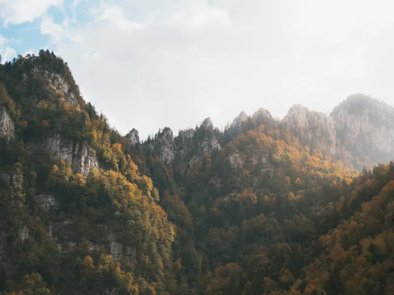 Autunno nella Certosa