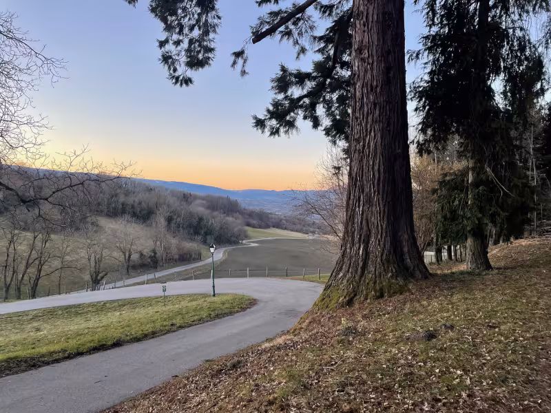 Sulla strada per Desingy