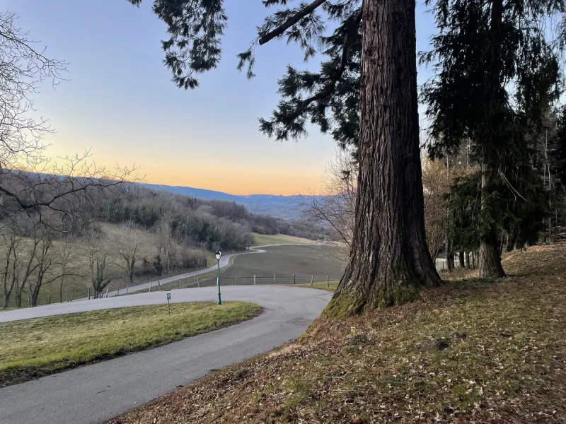Sulla strada per Desingy
