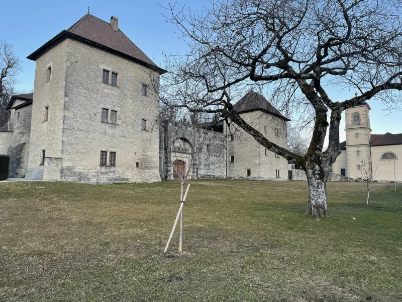Il castello di Clermont, una tappa obbligata nella regione dell'Albanais