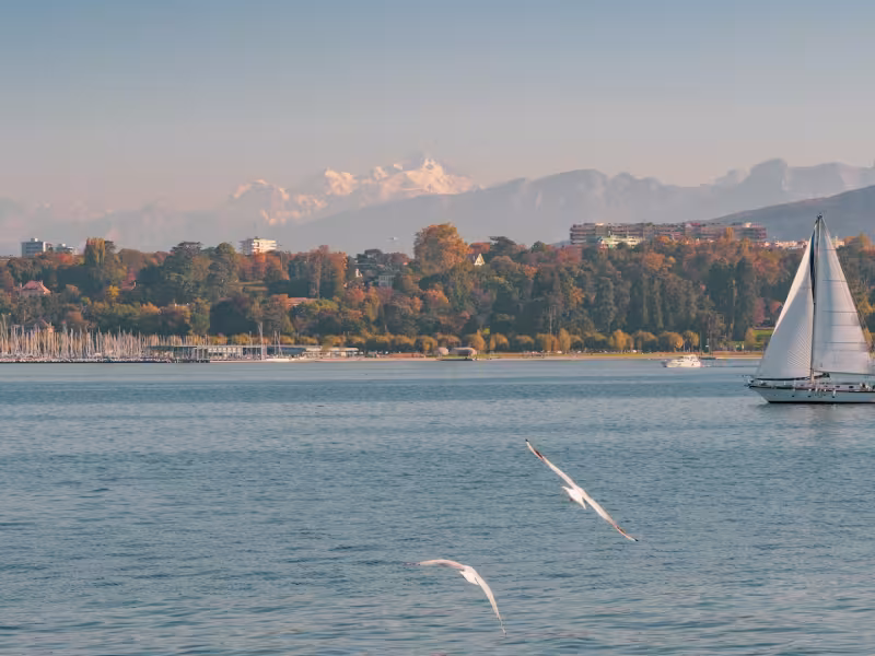 Il lago di Ginevra e le Alpi sullo sfondo