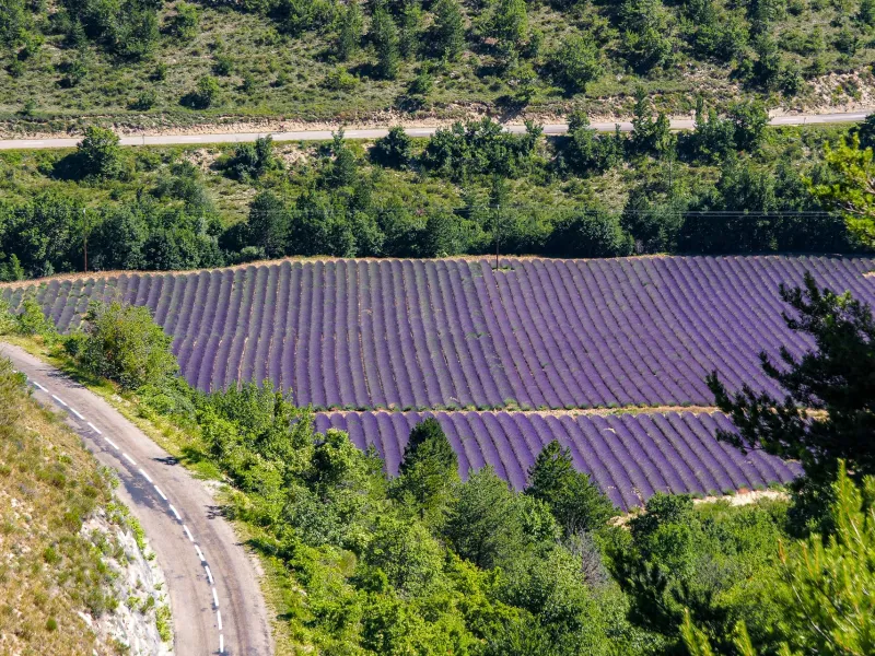 Routes de la lavande à vélo
