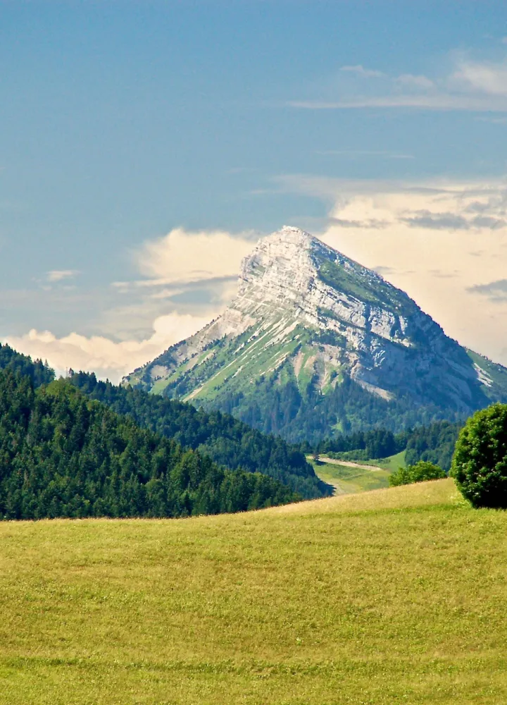 Chamchaude, l'emblema meridionale della regione della Chartreuse