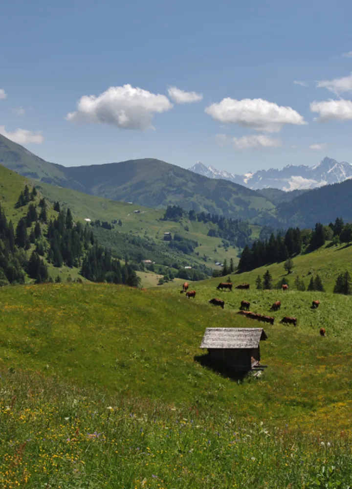 Discesa verso la Val d'Arly dal Col des Aravis