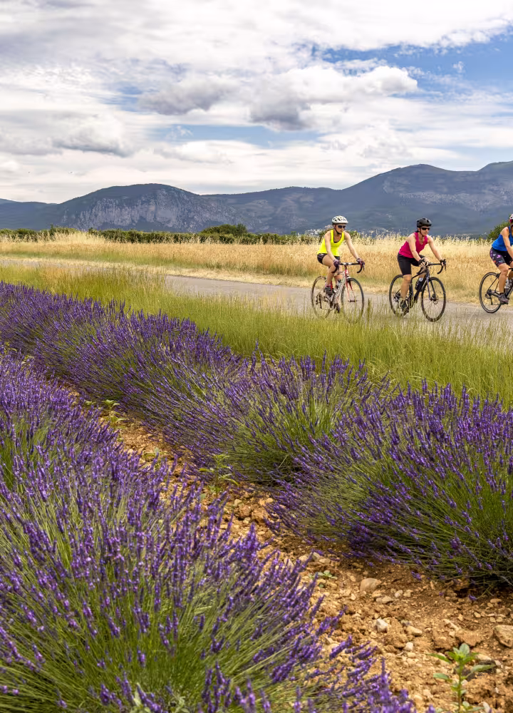 percorso vélo alta provenza