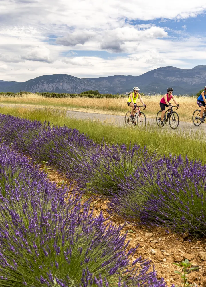 percorso vélo alta provenza