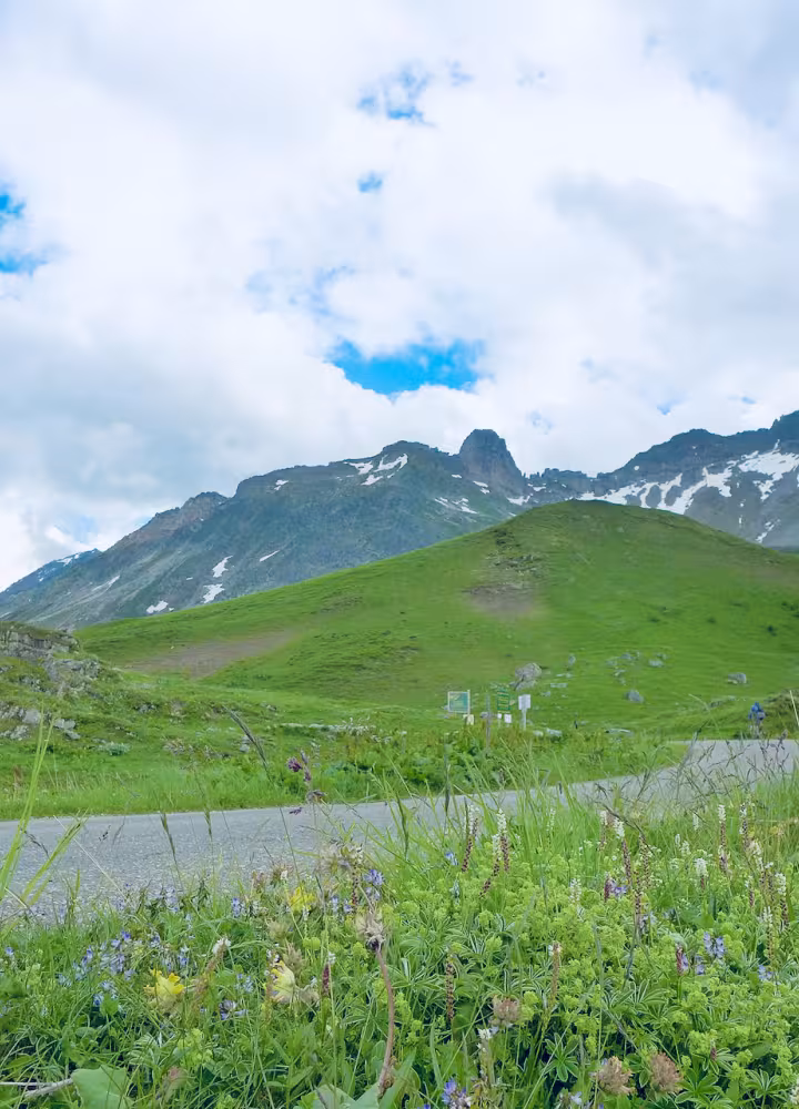 La verde cima del Cormet de Roselend