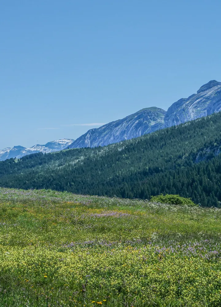 panneau arrivée plateau de solaison 
