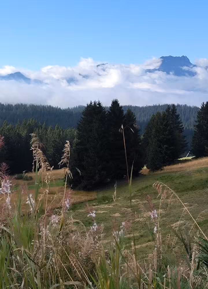 Les Saisies via delle grandi alpi