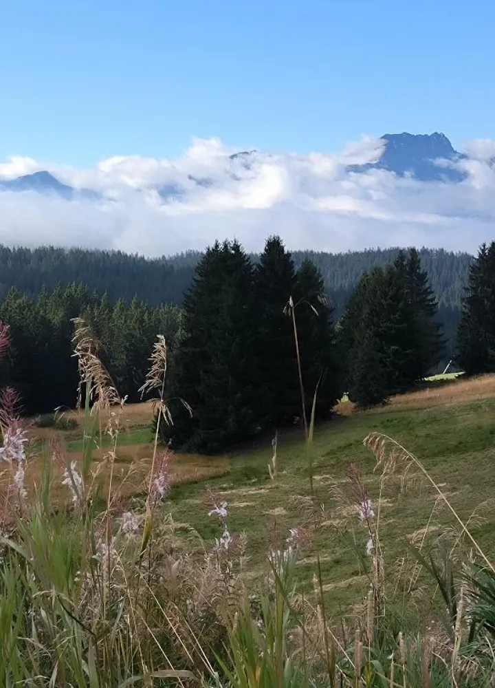 Les Saisies via delle grandi alpi