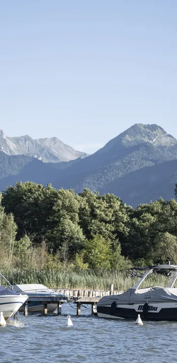 Sorgenti del lago di Annecy - 1
