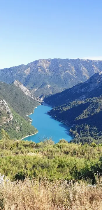 20230804_091132~2 - Jean-Philippe Falavel.jpg