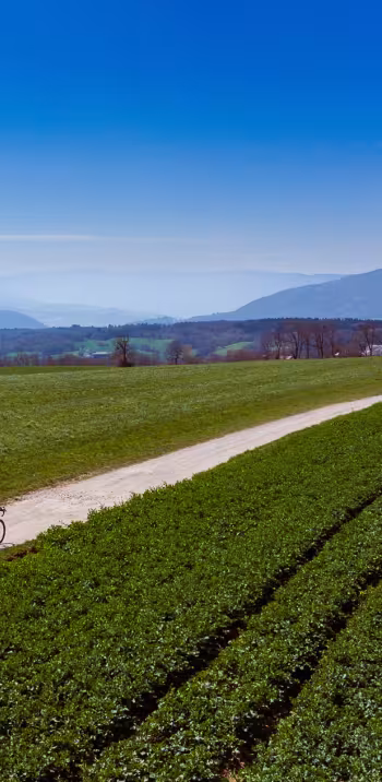 Verso sud sulle piste di ghiaia del Mont Sion