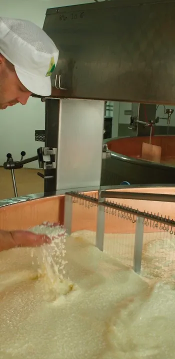 Produzione di Beaufort Philippe Lemonnier.jpg