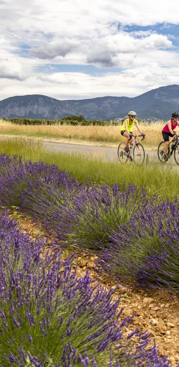 HAUTE PROVENCE_percorso ciclistico_Grand Tour Provence Alpes_Thibaut VERGOZ_2021 (117).jpg
