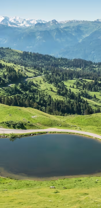 Lac_de_Joux_Plane_10.jpg