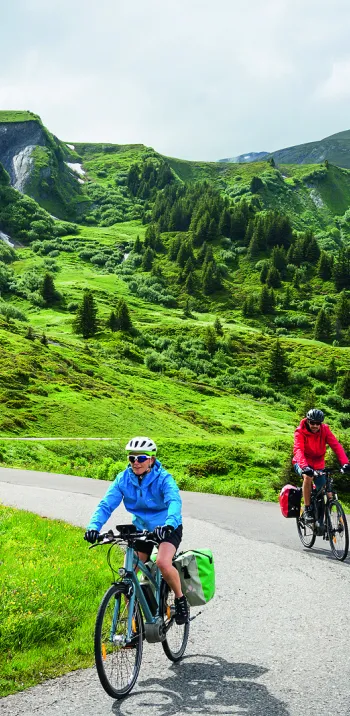 Mountain bike ad assistenza elettrica con BOSCH