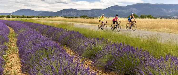 HAUTE PROVENCE_percorso ciclistico_Grand Tour Provence Alpes_Thibaut VERGOZ_2021 (117).jpg