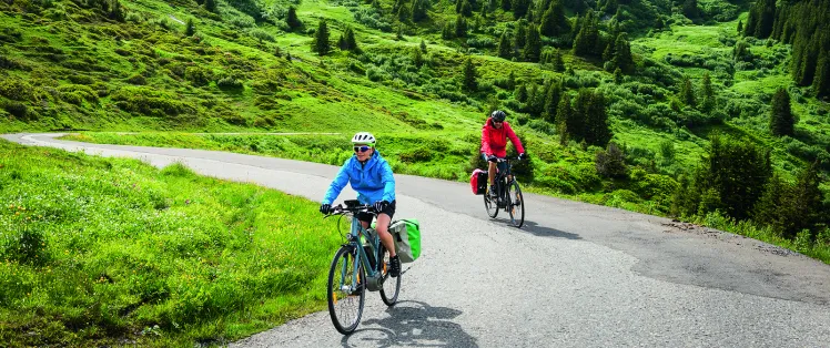 Mountain bike ad assistenza elettrica con BOSCH