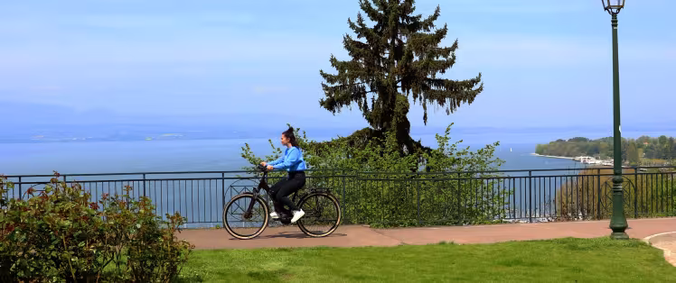 striscione della bicicletta.jpg