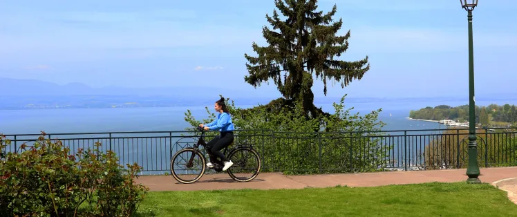 striscione della bicicletta.jpg