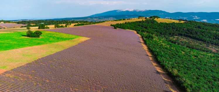dji_0518.jpg