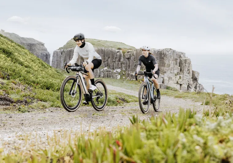 ebike bosch gravel