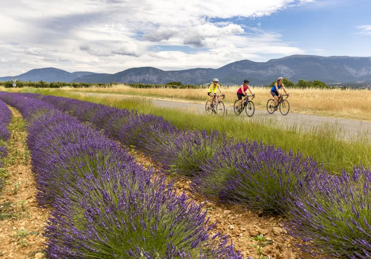 percorso vélo alta provenza