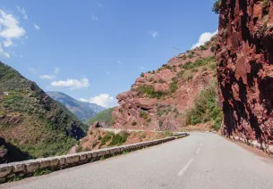 Curiosità naturali